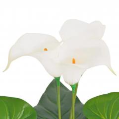 Plante artificielle Lis Calla 85cm Blanc